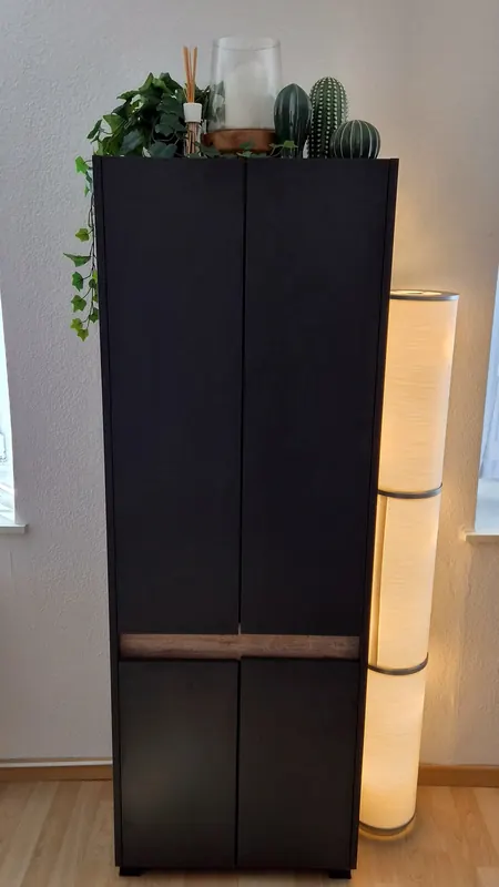Schrank mit Pflanzen und warmer Stehlampe
