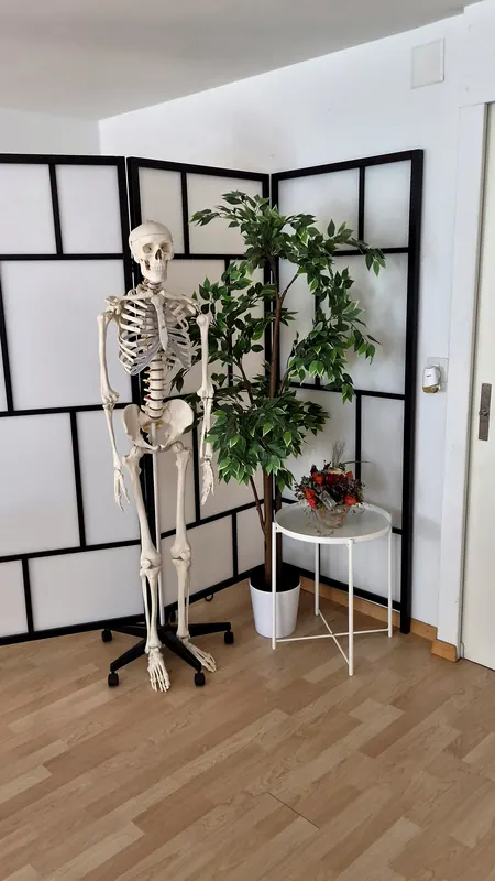 Anatomie-Skelett und Pflanze vor dem Paravent