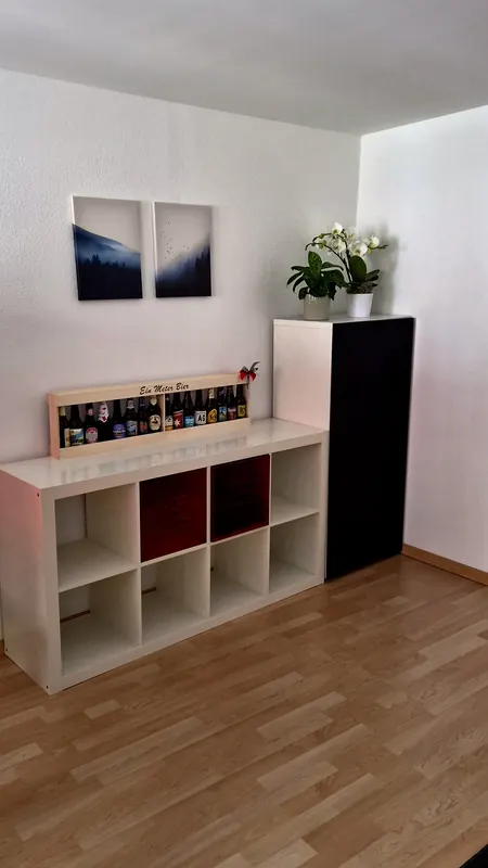 Regal mit Pflanzen und Wandbildern im Büro